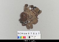 藏品(中國湖北皮影戲偶頭-淨)的圖片